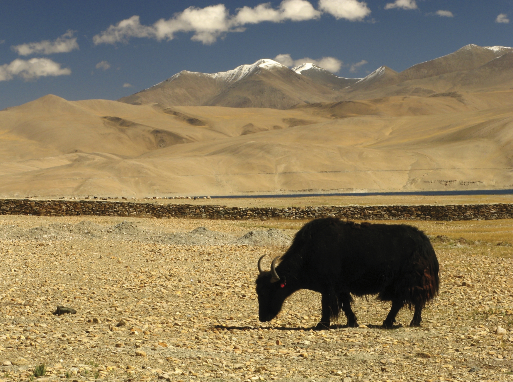 Große Ladakh Rundreise IKARUS TOURS