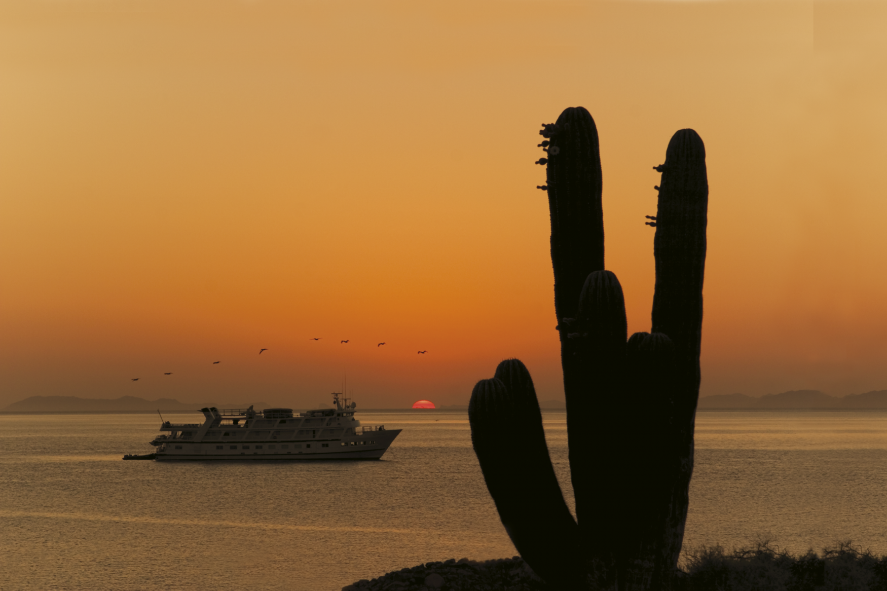 Baja California Mit Dem Mietwagen IKARUS TOURS