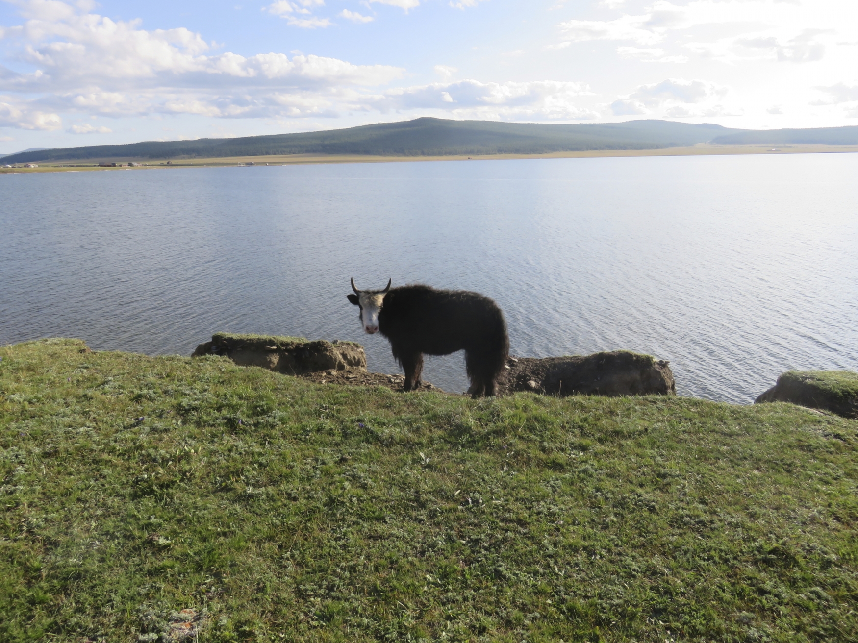 Gro E Mongolei Expedition Ikarus Tours